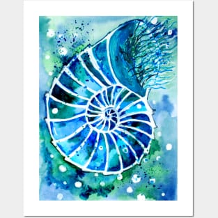 Turquoise Nautilus Posters and Art